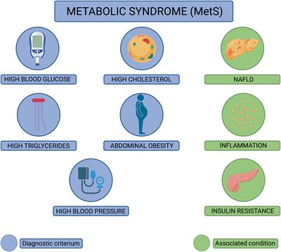 Metabolic syndrome and aberrant immune responses to viral infection and vaccination: Insights from small animal models
